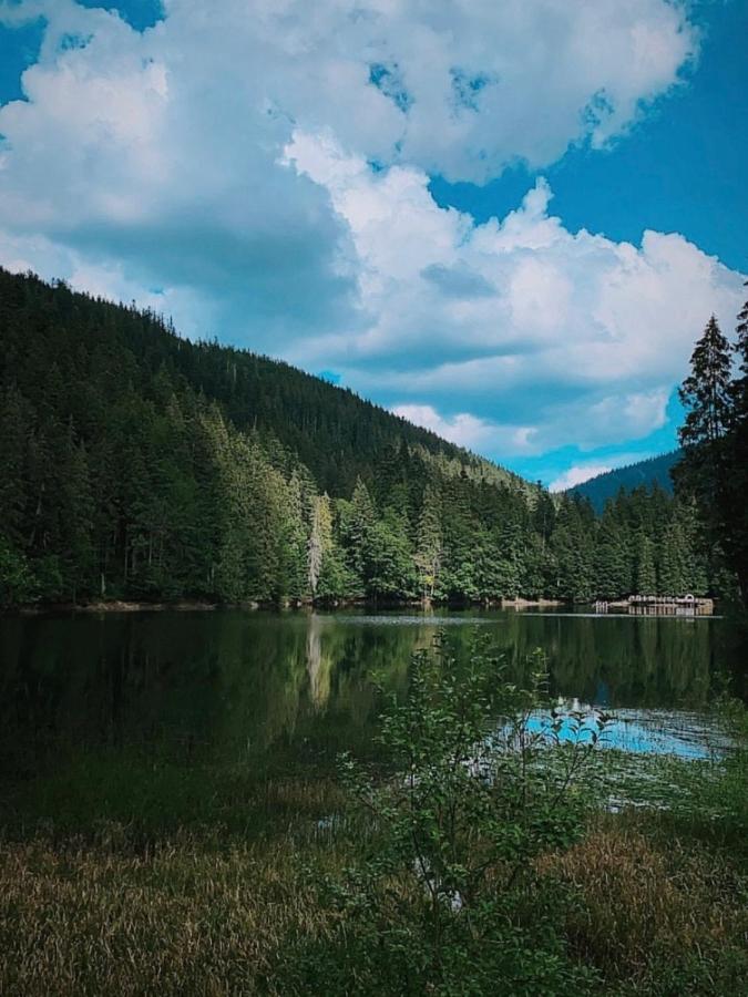 Chalet Borzhava Гукливый Экстерьер фото