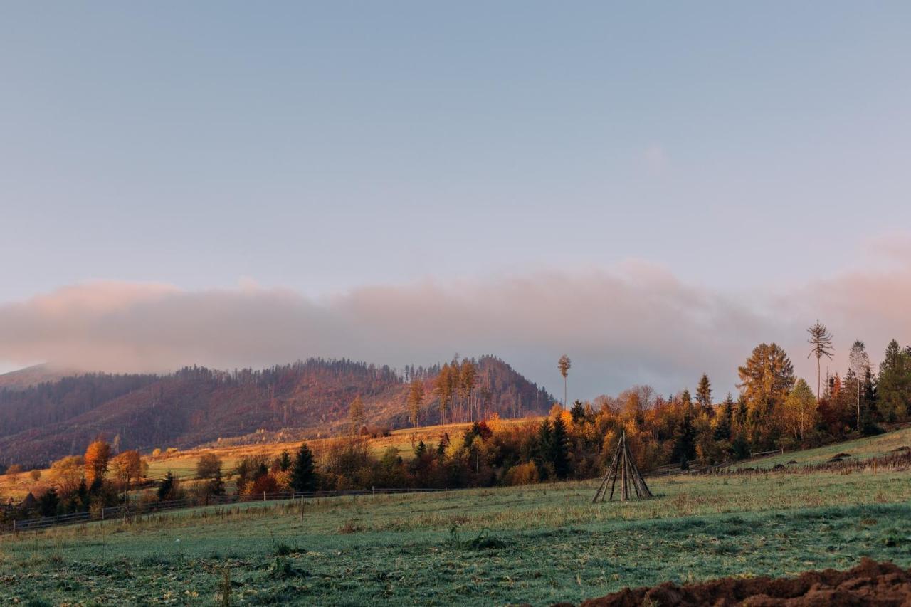 Chalet Borzhava Гукливый Экстерьер фото